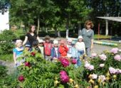 Детские сады Алексина